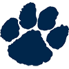 Pittsford Panthers Football