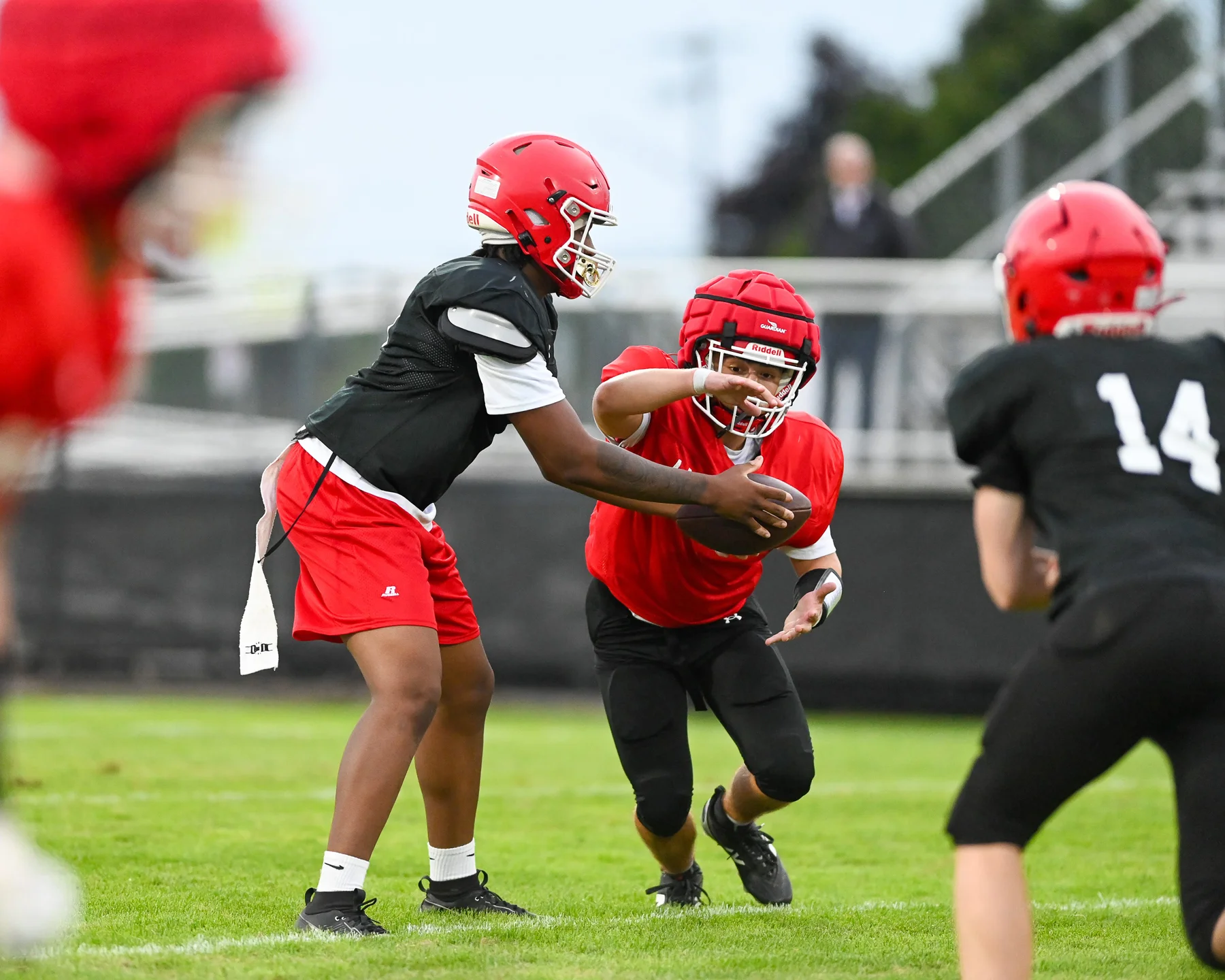 QB handing the ball off