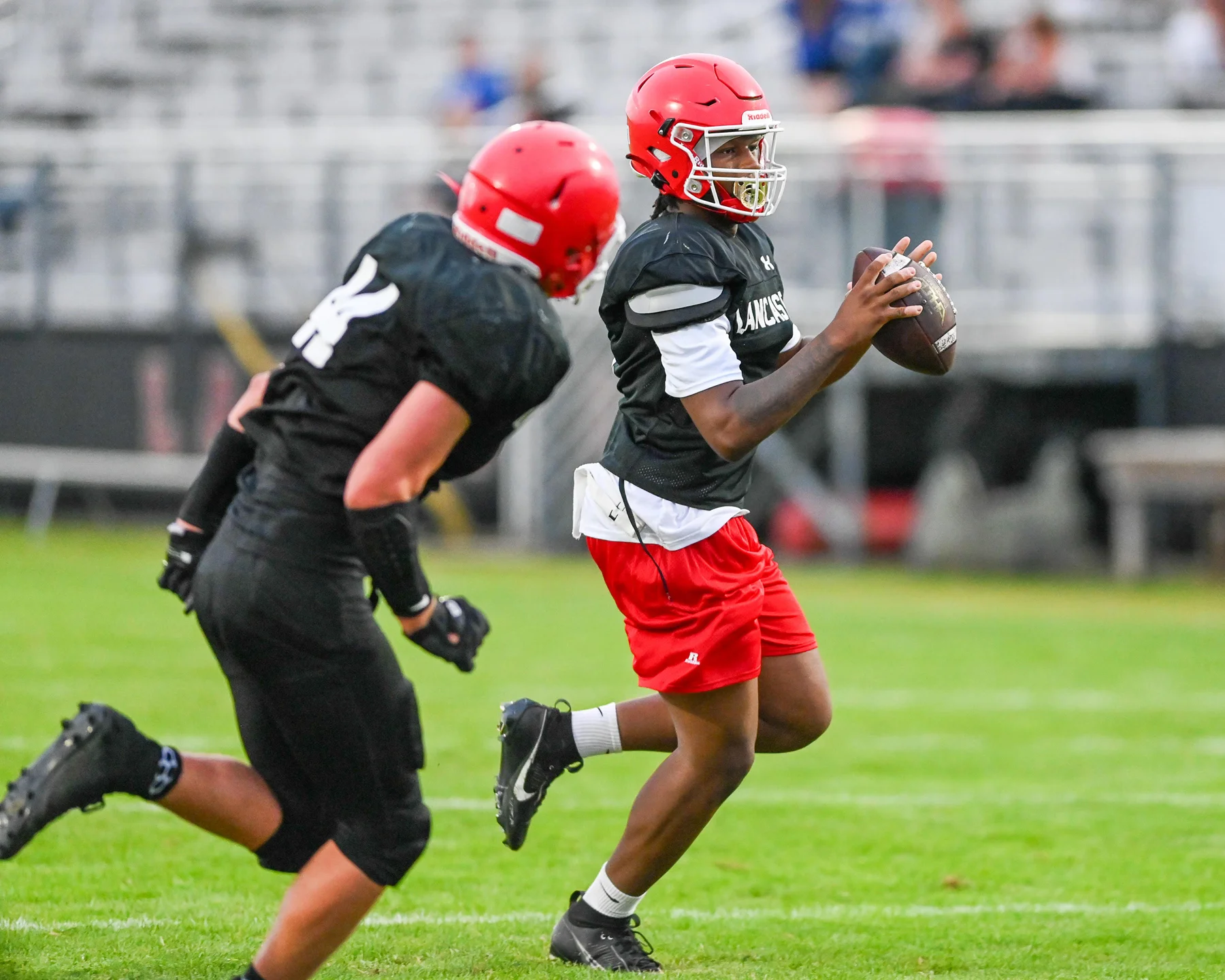 QB looking down the field for a receiver