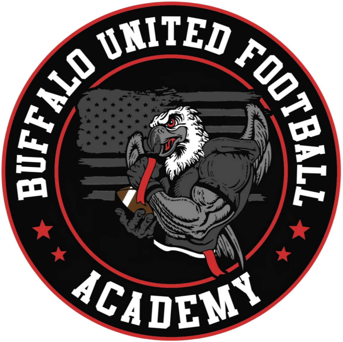 Buffalo United Football League logo